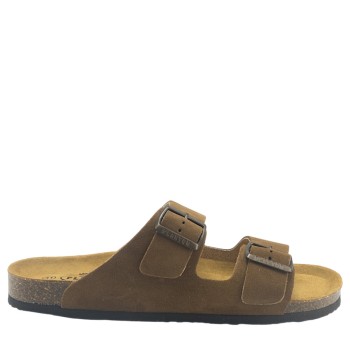 PLAKTON 175857  ROBLE