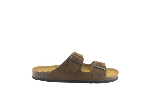 PLAKTON 175857  ROBLE