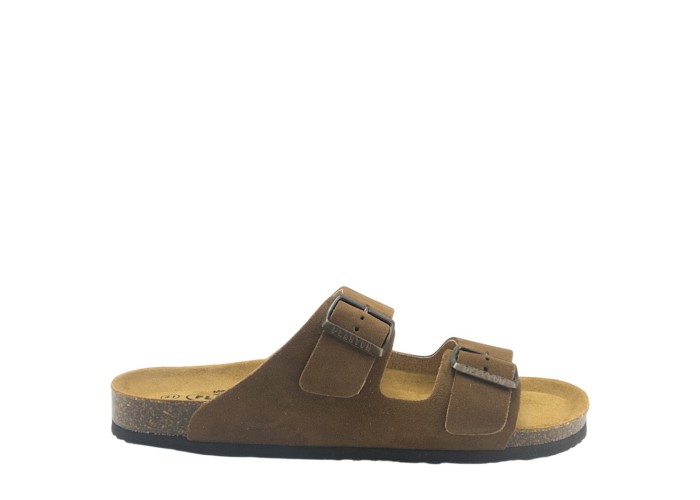 PLAKTON 175857  ROBLE