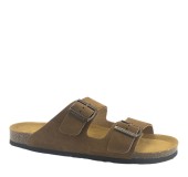 PLAKTON 175857  ROBLE