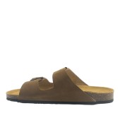 PLAKTON 175857  ROBLE