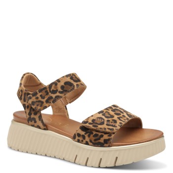TAMARIS COMFORT 8-88720-44-903 LEOPARD 