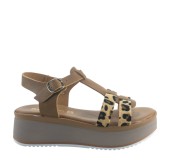BAROCCO VERONICA 51904 LEOPARD 