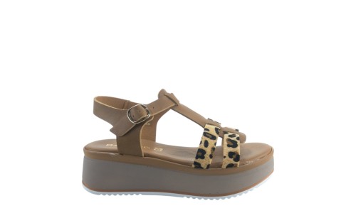 BAROCCO VERONICA 51904 LEOPARD 