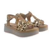 BAROCCO VERONICA 51904 LEOPARD 