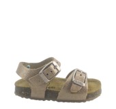 PLAKTON 861407 ROSE 03 