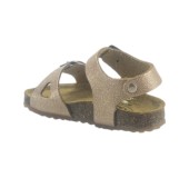 PLAKTON 861407 ROSE 03 