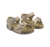 PLAKTON 861407 ROSE 03 