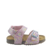 PLAKTON 865663 ROSA 29 