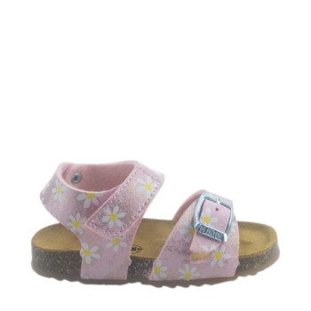 PLAKTON 865663 ROSA 29 