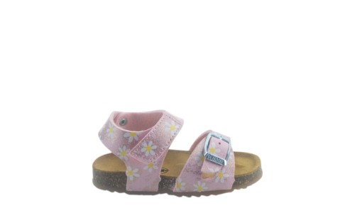 PLAKTON 865663 ROSA 29 