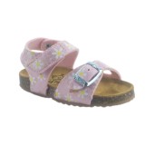 PLAKTON 865663 ROSA 29 