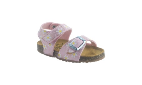 PLAKTON 865663 ROSA 29 