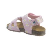 PLAKTON 865663 ROSA 29 