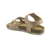 PLAKTON 131407 ROSE 03 