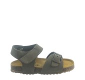 PLAKTON 855659 KAKI 
