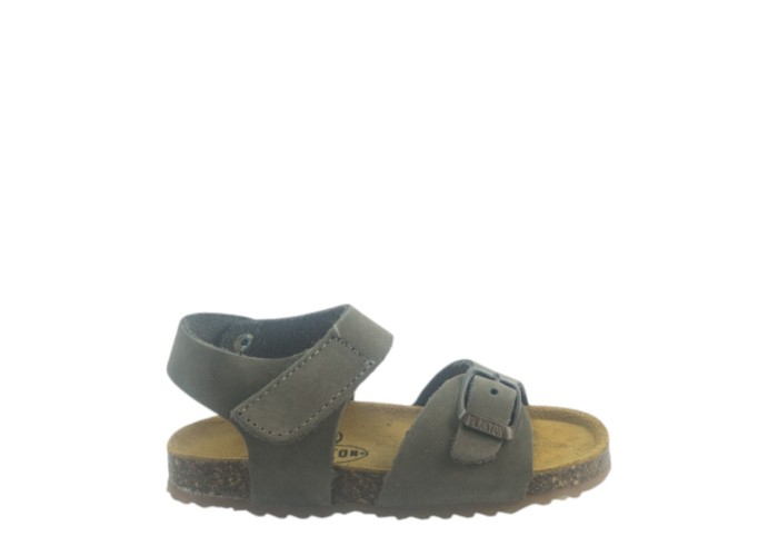 PLAKTON 855659 KAKI 