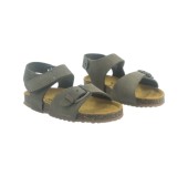 PLAKTON 855659 KAKI 