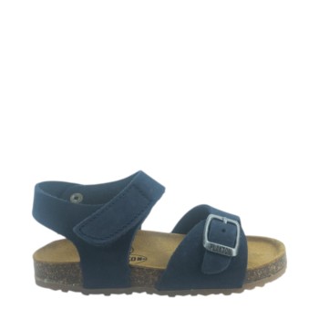 PLAKTON 855659 BLU 01 