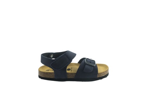 PLAKTON 125659 BLU 01 