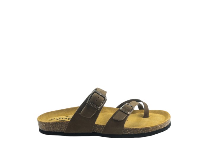 PLAKTON 181032 CUERO 