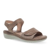 PAREX 11631058.U TAUPE 