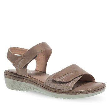 PAREX 11631058.U TAUPE 