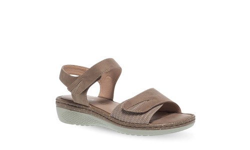 PAREX 11631058.U TAUPE 