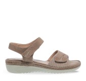 PAREX 11631058.U TAUPE 