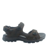 TWIST TW25100M BROWN 