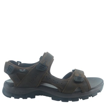 TWIST TW25100M BROWN 