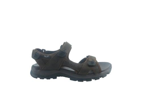 TWIST TW25100M BROWN 