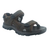 TWIST TW25100M BROWN 