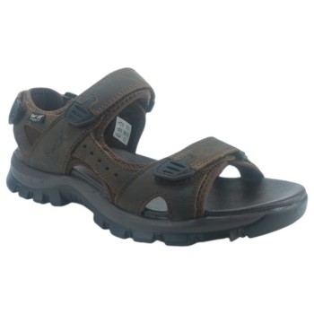 TWIST TW25100M BROWN 