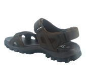 TWIST TW25100M BROWN 