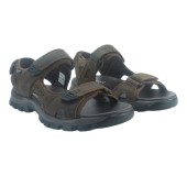 TWIST TW25100M BROWN 