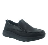 NIKOL 2411-43 BLACK 