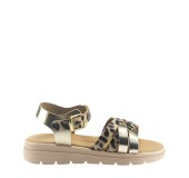 TOYITI 5041 ΛΕΟΠΑΡ 