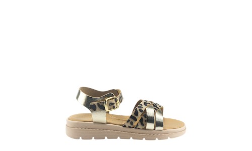 TOYITI 5041 ΛΕΟΠΑΡ 