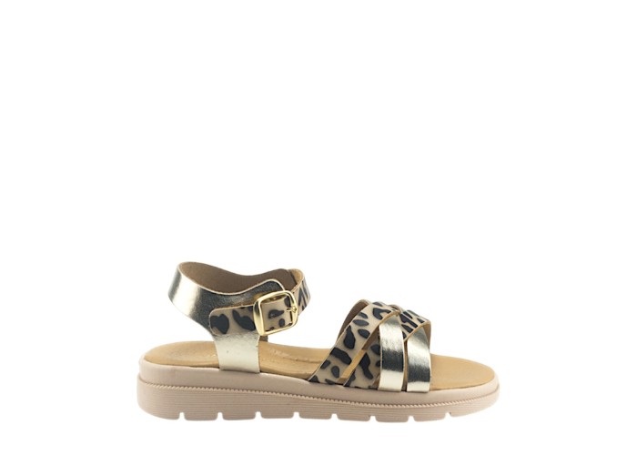 TOYITI 5041 ΛΕΟΠΑΡ 