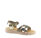 TOYITI 5041 ΛΕΟΠΑΡ 