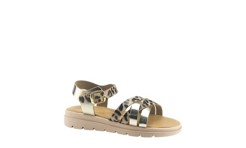 TOYITI 5041 ΛΕΟΠΑΡ 