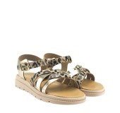 TOYITI 5041 ΛΕΟΠΑΡ 