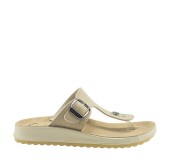 ANTRIN 56.5688-6560 ΜΠΕΖ 