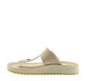 ANTRIN 56.5688-6560 ΜΠΕΖ 