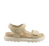 ANTRIN 81.GIANNA-200 ΜΠΕΖ 