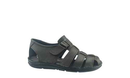 ANTRIN 153.670004 ΚΑΦΕ 