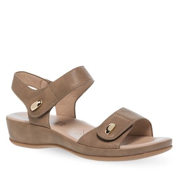 PAREX 11633071.U ΠΟΥΡΟ 