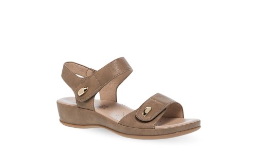 PAREX 11633071.U ΠΟΥΡΟ 