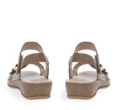 PAREX 11633071.U ΠΟΥΡΟ 